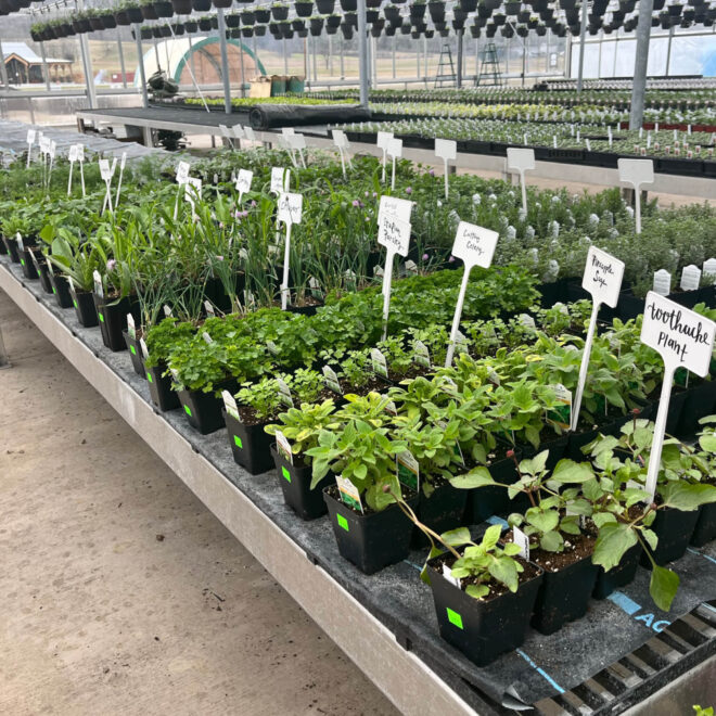 Breezy Acres Garden Center