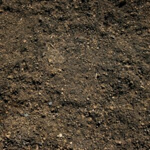 Screened Topsoil
