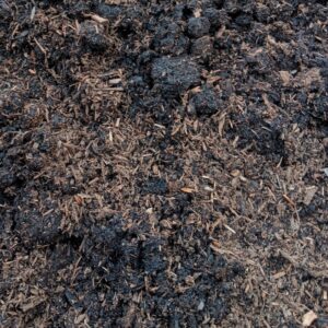 Leaf Compost