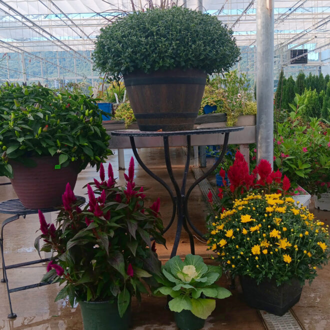 Mum Container